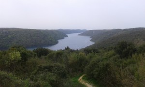 Limski 
