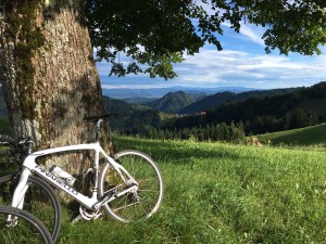 Pogled na jug in Polhograjce